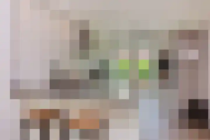 Chinesetuinlaan 8 Vleuten thumbnail 11