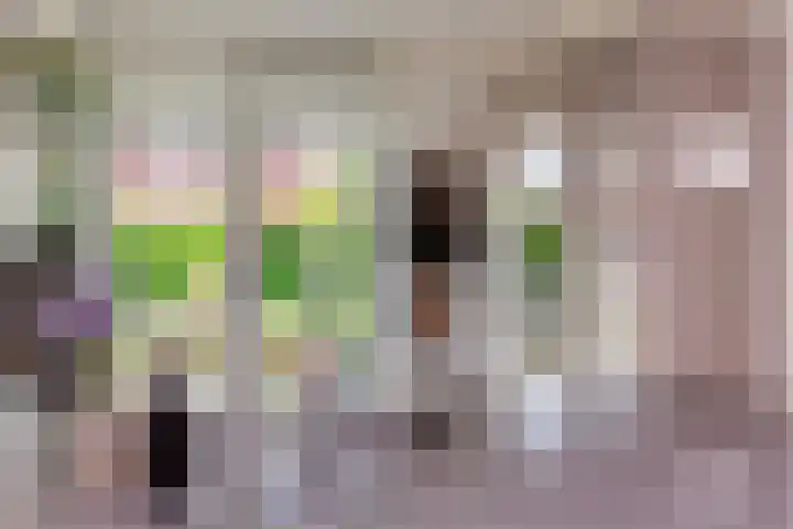 Chinesetuinlaan 8 Vleuten thumbnail 12