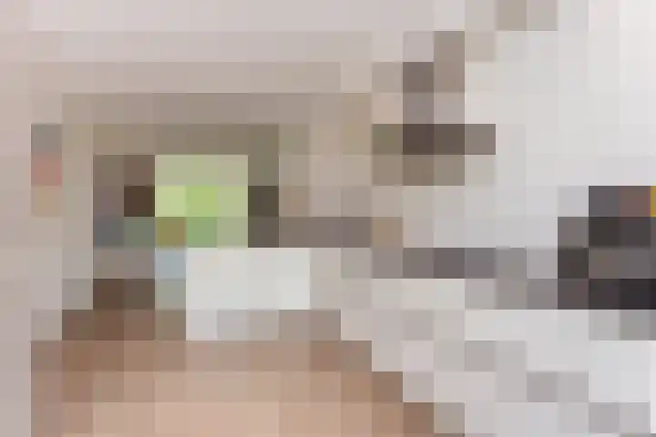Chinesetuinlaan 8 Vleuten thumbnail 14