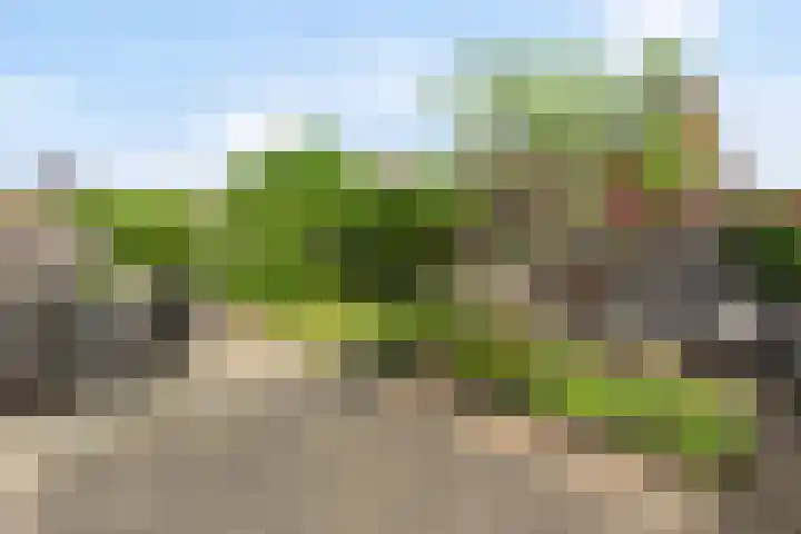 Chinesetuinlaan 8 Vleuten thumbnail 15