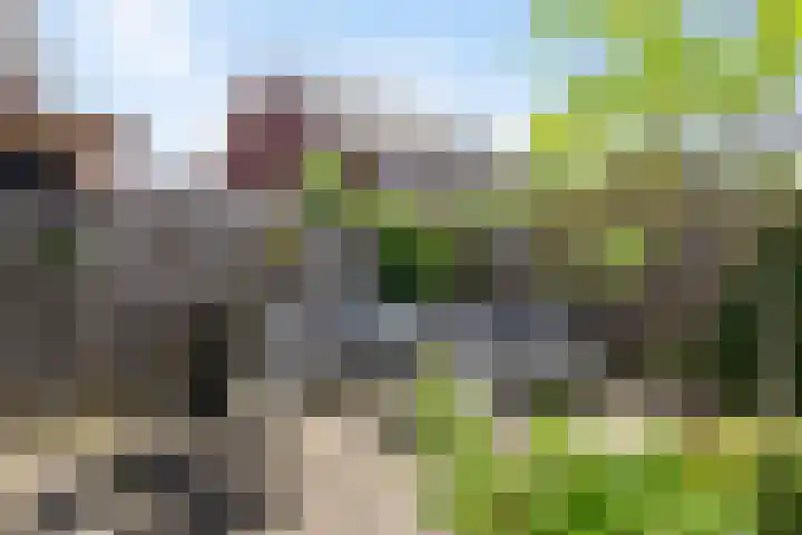 Chinesetuinlaan 8 Vleuten thumbnail 17