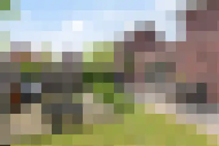 Chinesetuinlaan 8 Vleuten thumbnail 19