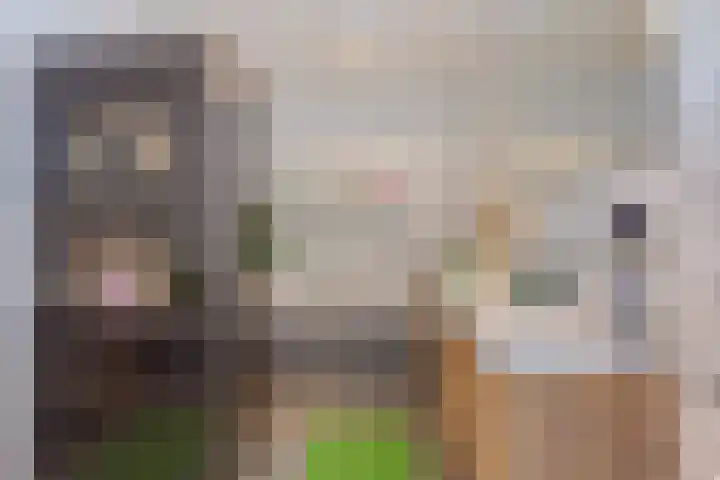 Chinesetuinlaan 8 Vleuten thumbnail 26