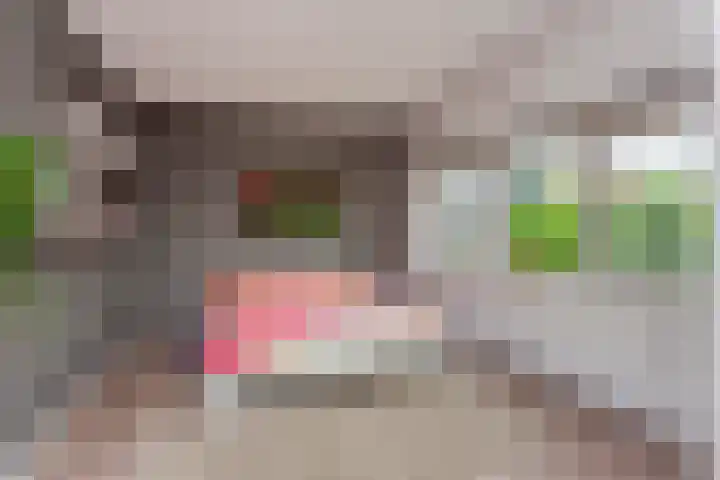 Chinesetuinlaan 8 Vleuten thumbnail 29