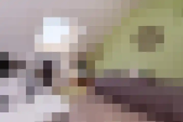 Chinesetuinlaan 8 Vleuten thumbnail 36