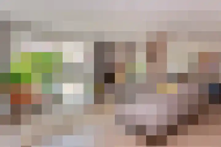 Chinesetuinlaan 8 Vleuten thumbnail 4