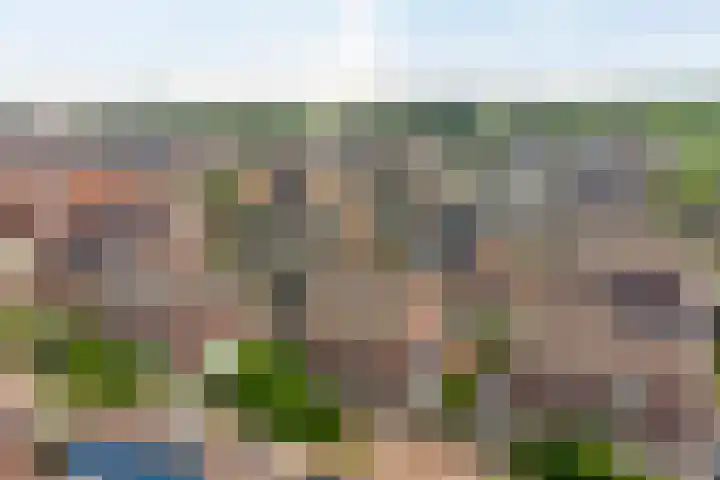 Chinesetuinlaan 8 Vleuten thumbnail 41