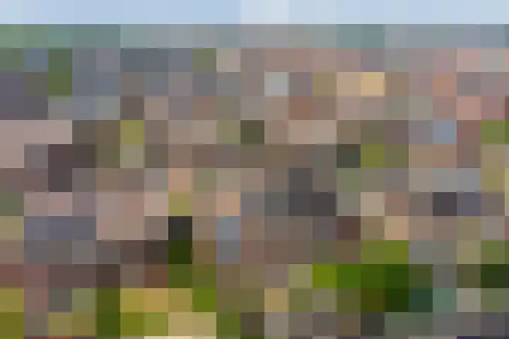 Chinesetuinlaan 8 Vleuten thumbnail 42
