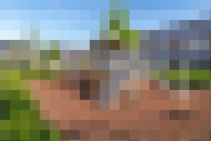 Chinesetuinlaan 8 Vleuten thumbnail 47
