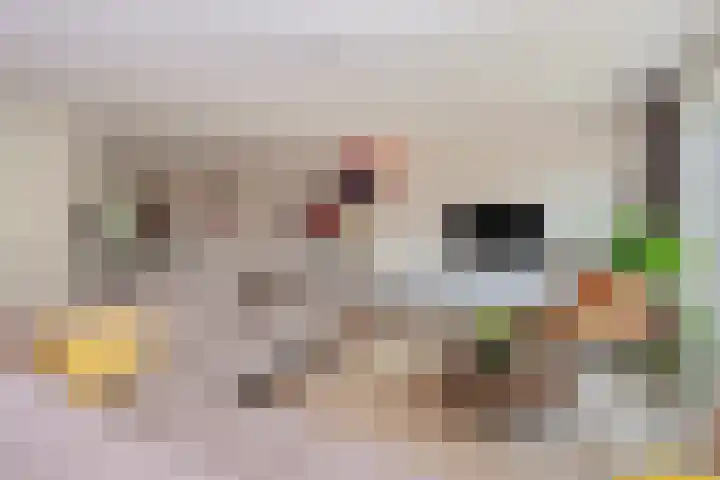 Chinesetuinlaan 8 Vleuten thumbnail 8