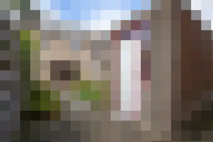 Chirurgijn 12 Amstelveen thumbnail 15
