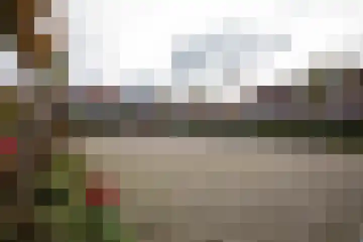 Chirurgijn 12 Amstelveen thumbnail 26