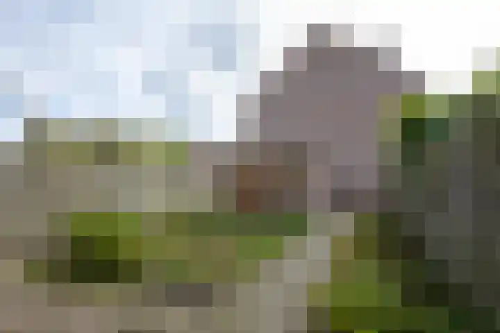 Chirurgijn 12 Amstelveen thumbnail 27