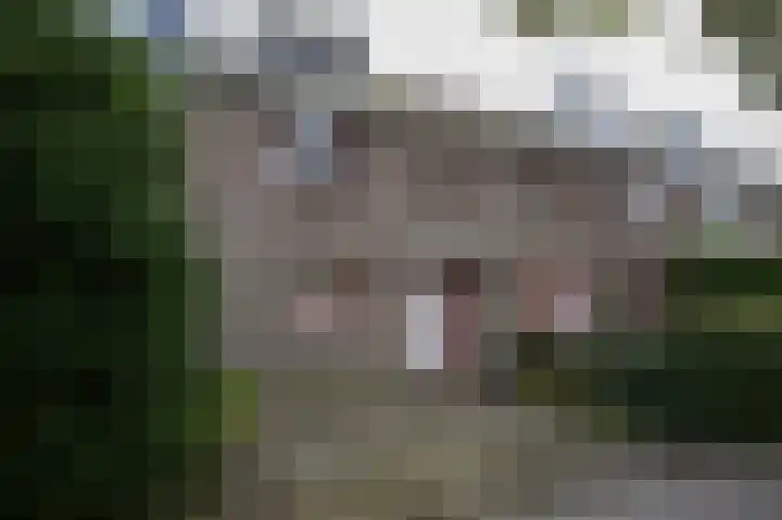 Chirurgijn 12 Amstelveen thumbnail 28