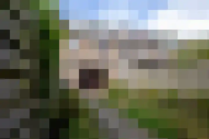 Chirurgijn 12 Amstelveen thumbnail 4