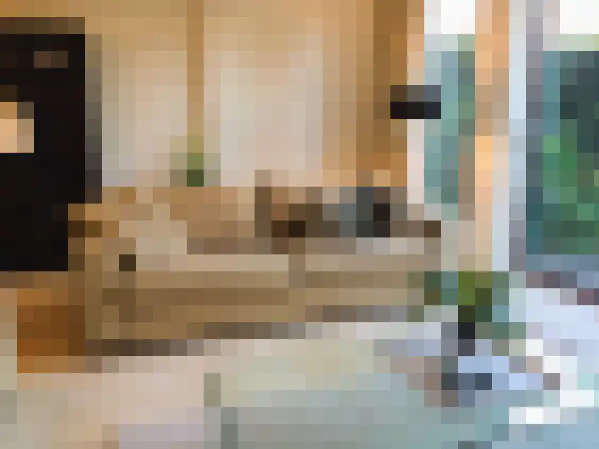 Chirurgijn 14 Amstelveen thumbnail 4