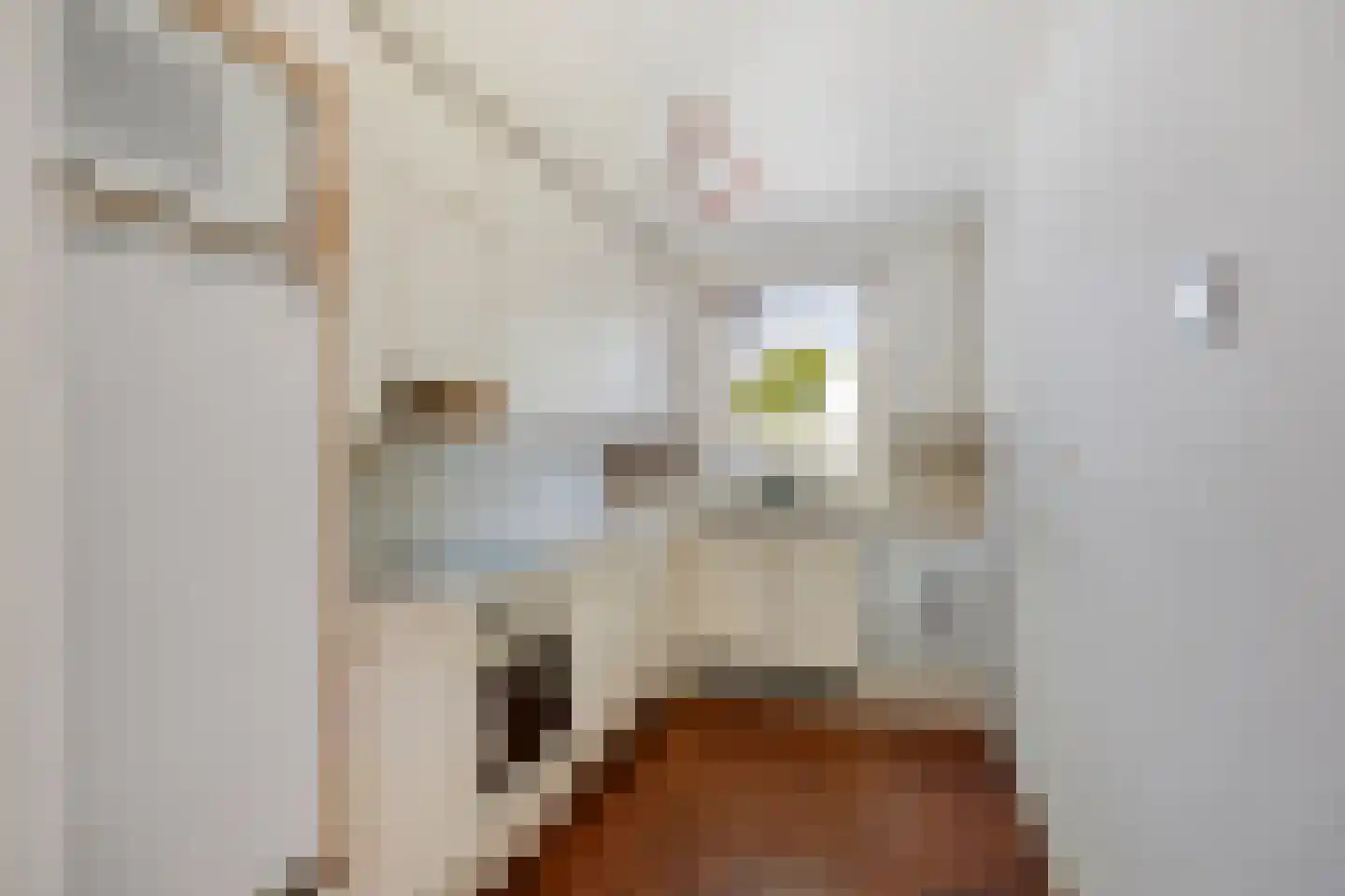 Chirurgijn 19 Amstelveen thumbnail 12