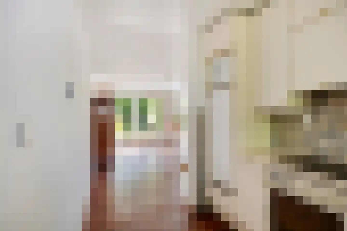Chirurgijn 19 Amstelveen thumbnail 13