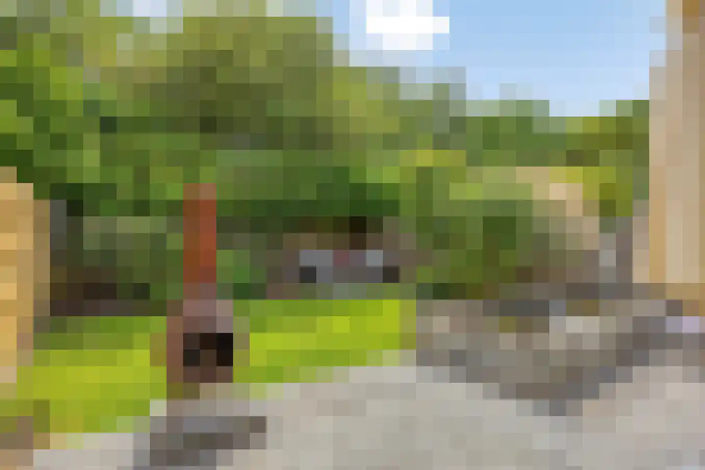 Chirurgijn 19 Amstelveen thumbnail 14