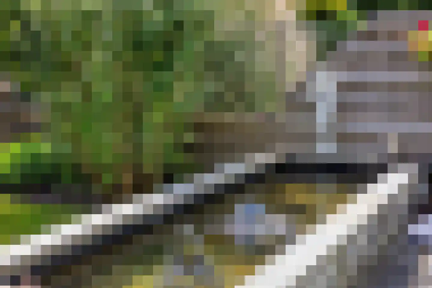 Chirurgijn 19 Amstelveen thumbnail 19
