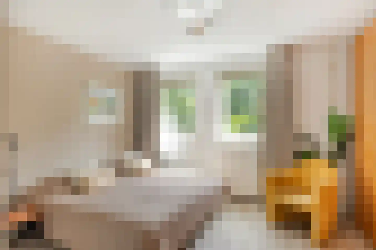 Chirurgijn 19 Amstelveen thumbnail 22