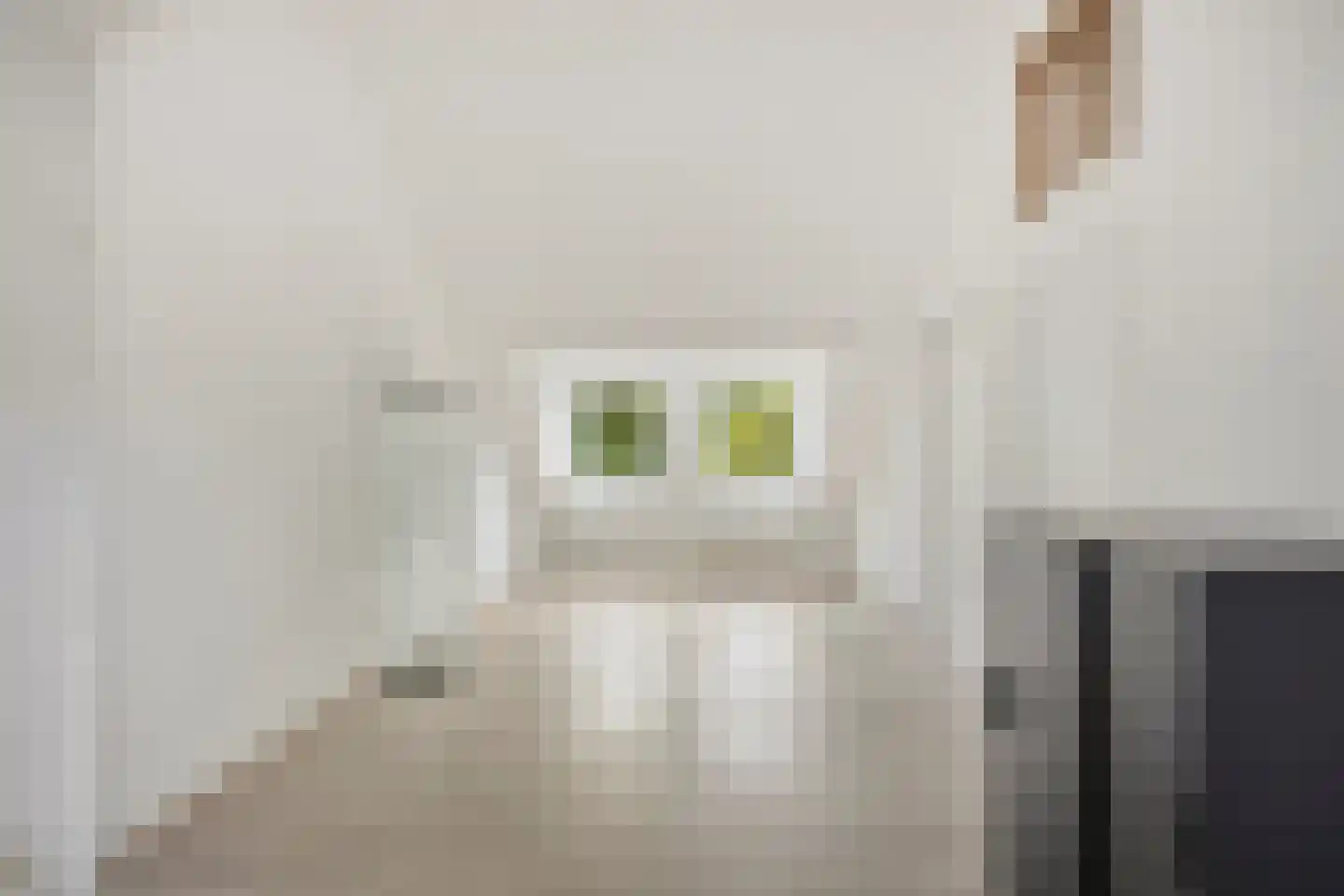Chirurgijn 19 Amstelveen thumbnail 33