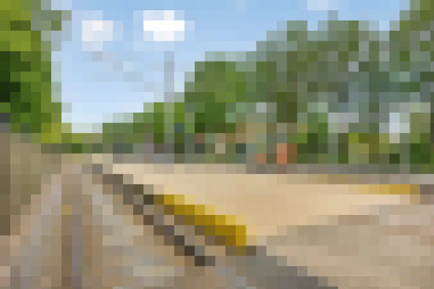 Chirurgijn 19 Amstelveen thumbnail 41