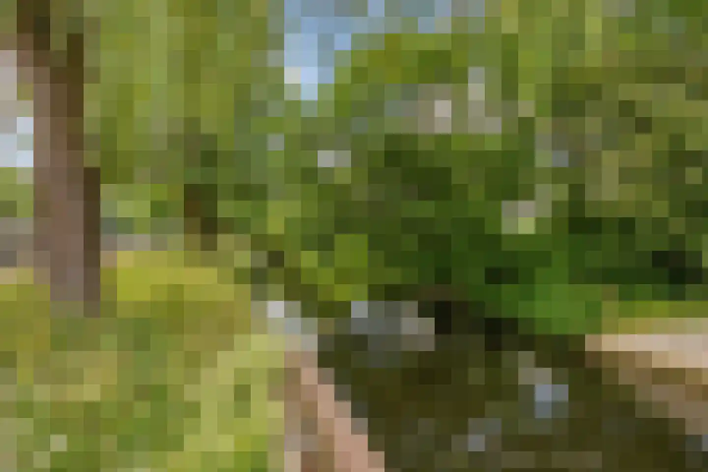 Chirurgijn 19 Amstelveen thumbnail 42