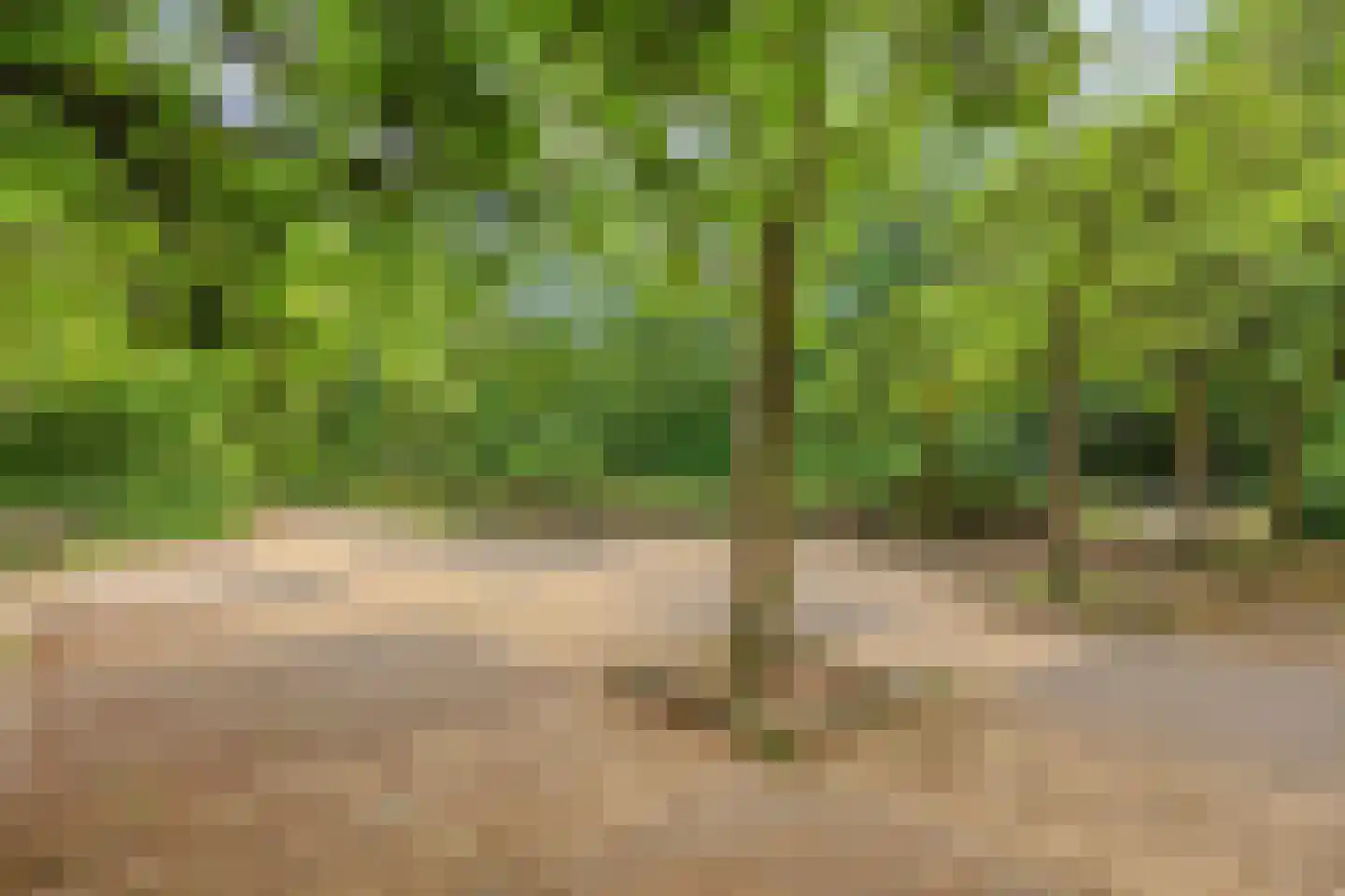 Chirurgijn 19 Amstelveen thumbnail 43