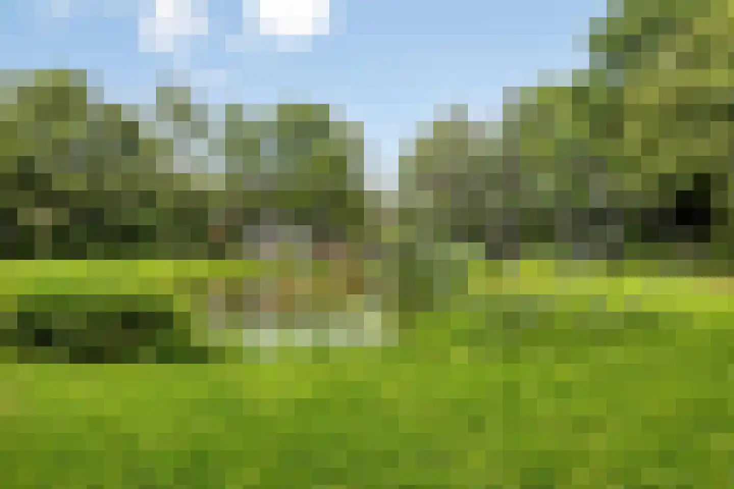 Chirurgijn 19 Amstelveen thumbnail 45