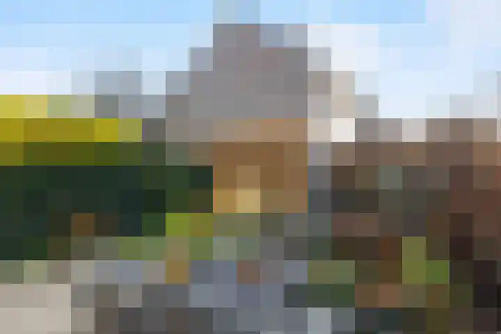 Chirurgijn 40 Amstelveen thumbnail 10