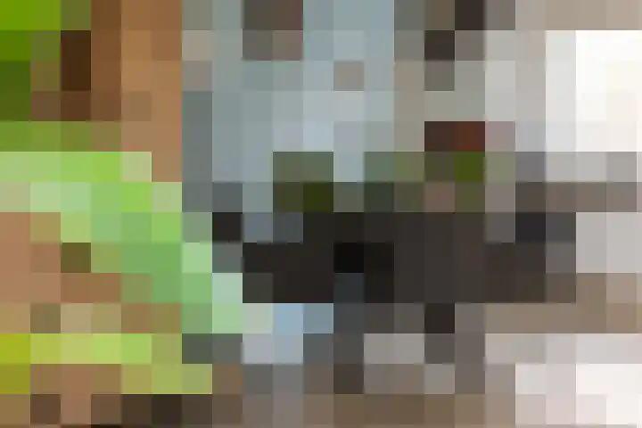 Chirurgijn 40 Amstelveen thumbnail 8