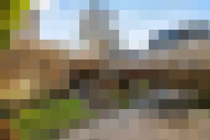 Chirurgijn 40 Amstelveen thumbnail 9