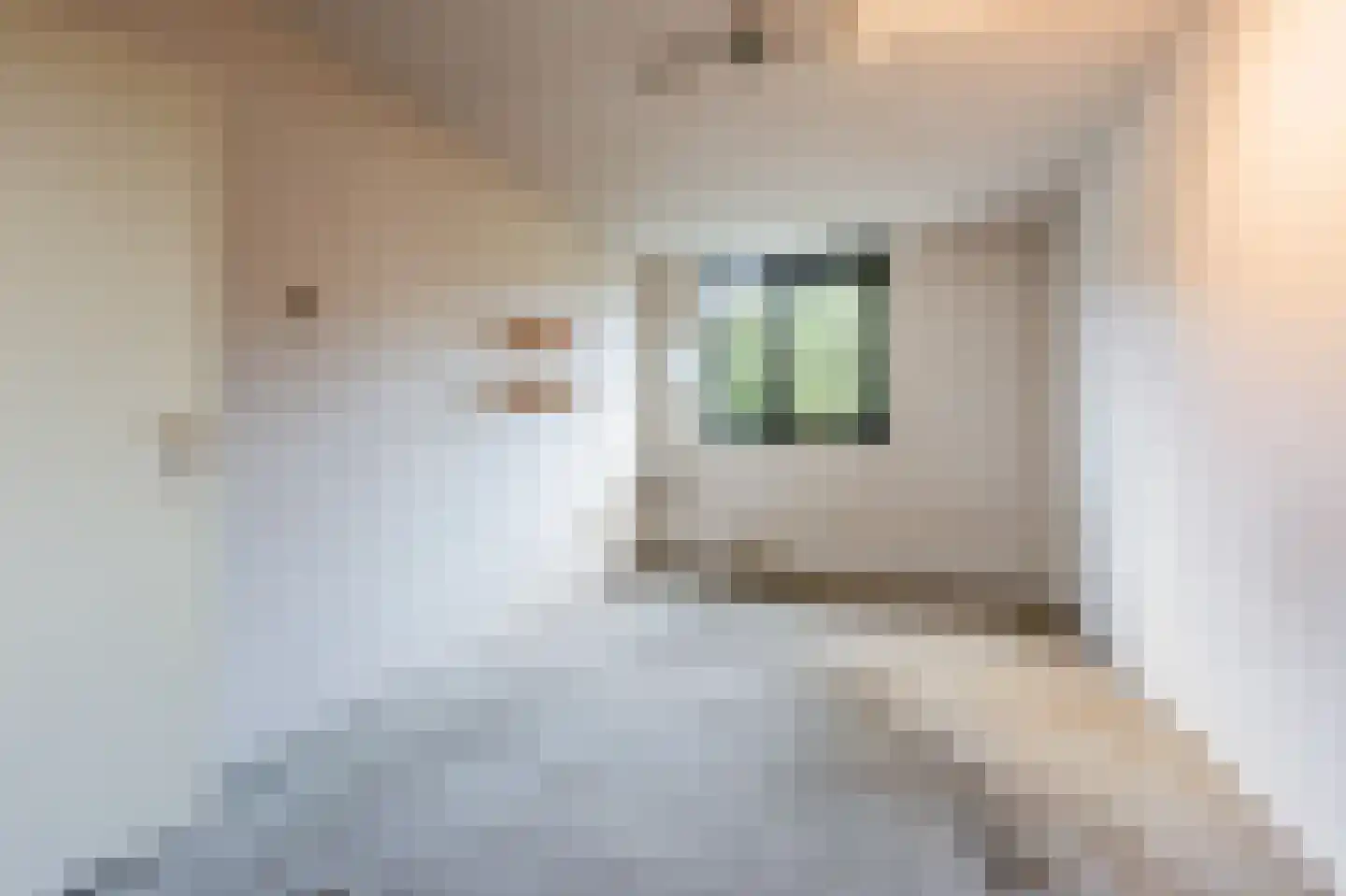 Chirurgijn 42 Amstelveen thumbnail 16