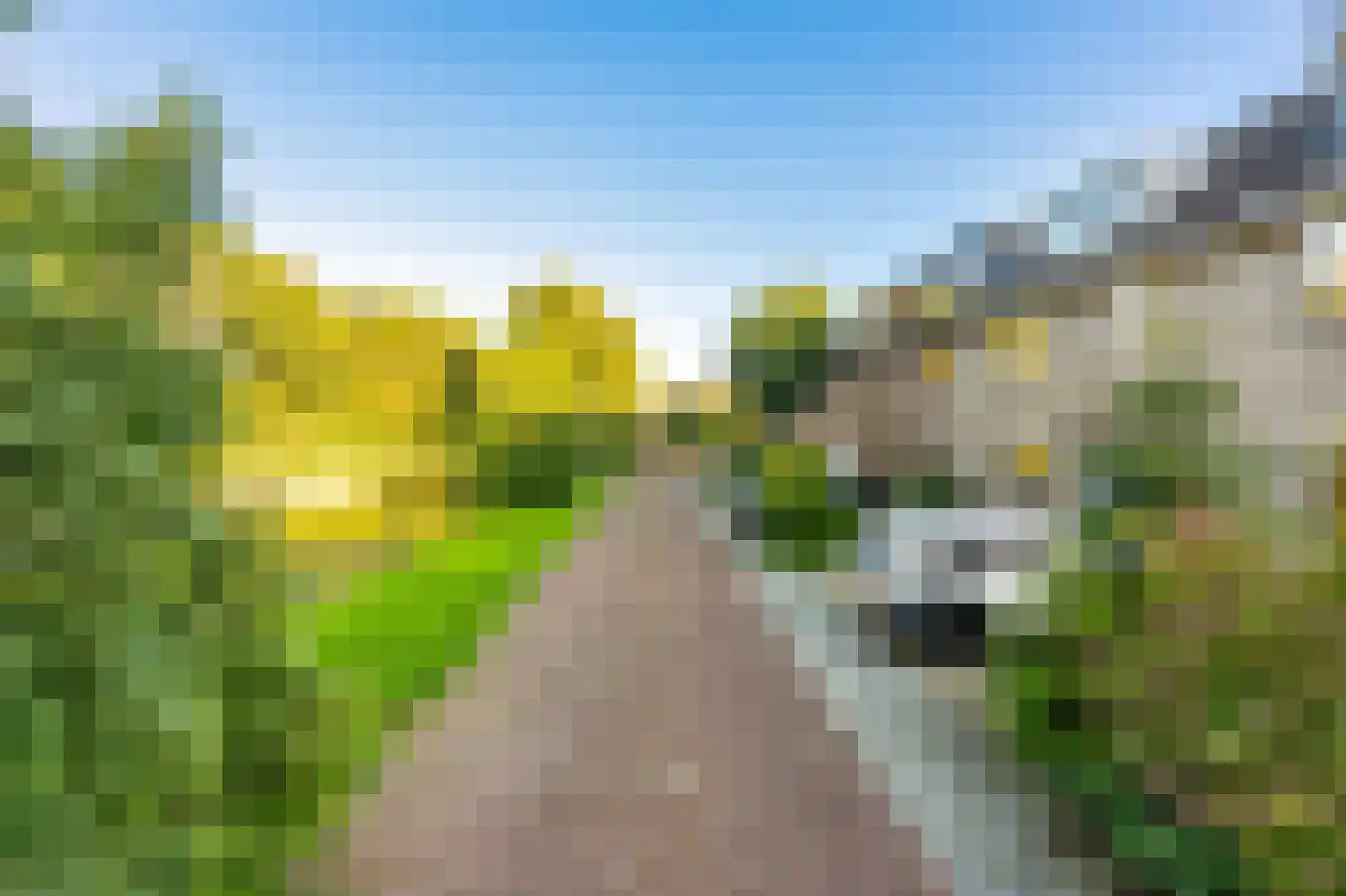 Chirurgijn 42 Amstelveen thumbnail 24