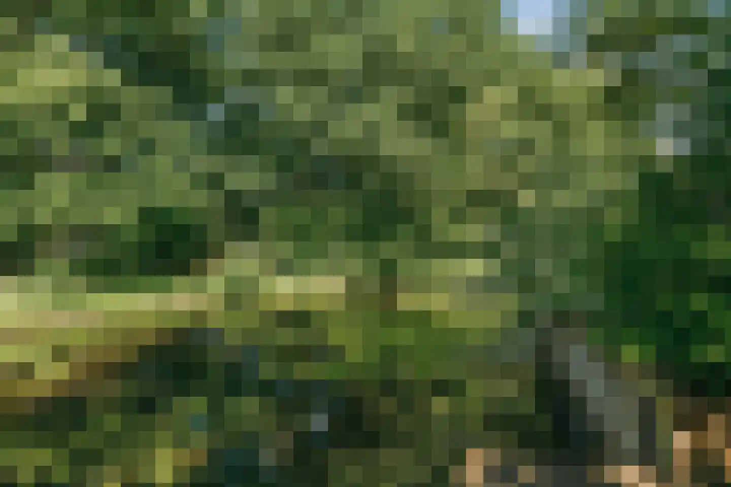 Chirurgijn 53 Amstelveen thumbnail 12
