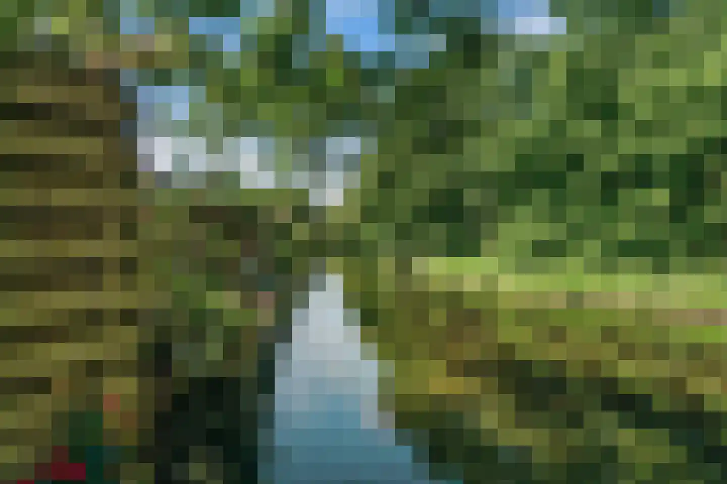 Chirurgijn 53 Amstelveen thumbnail 13