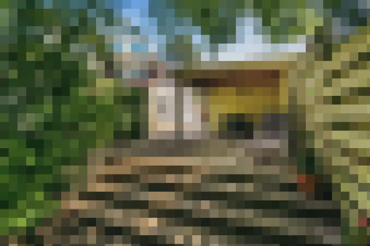 Chirurgijn 53 Amstelveen thumbnail 14