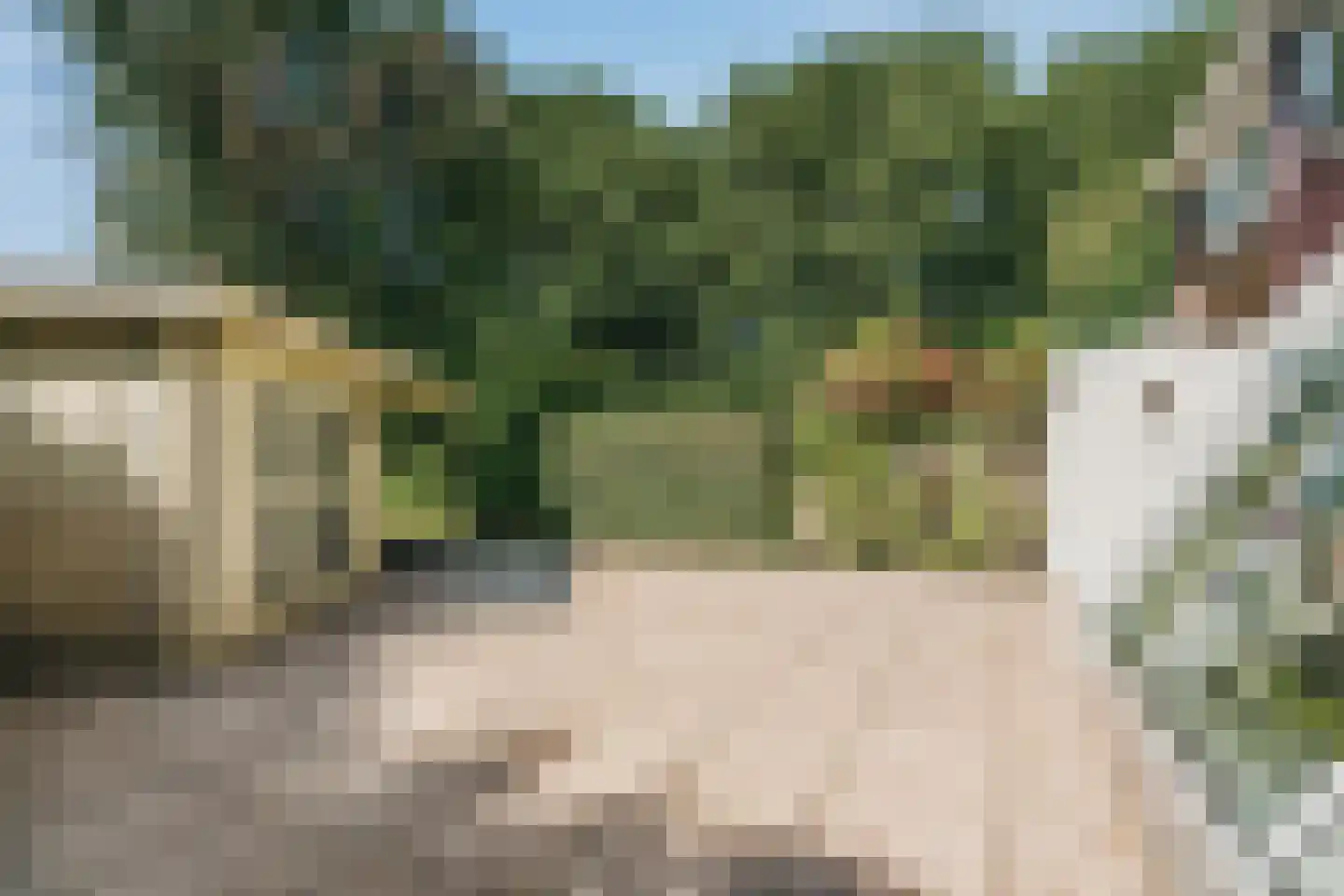 Chirurgijn 53 Amstelveen thumbnail 9