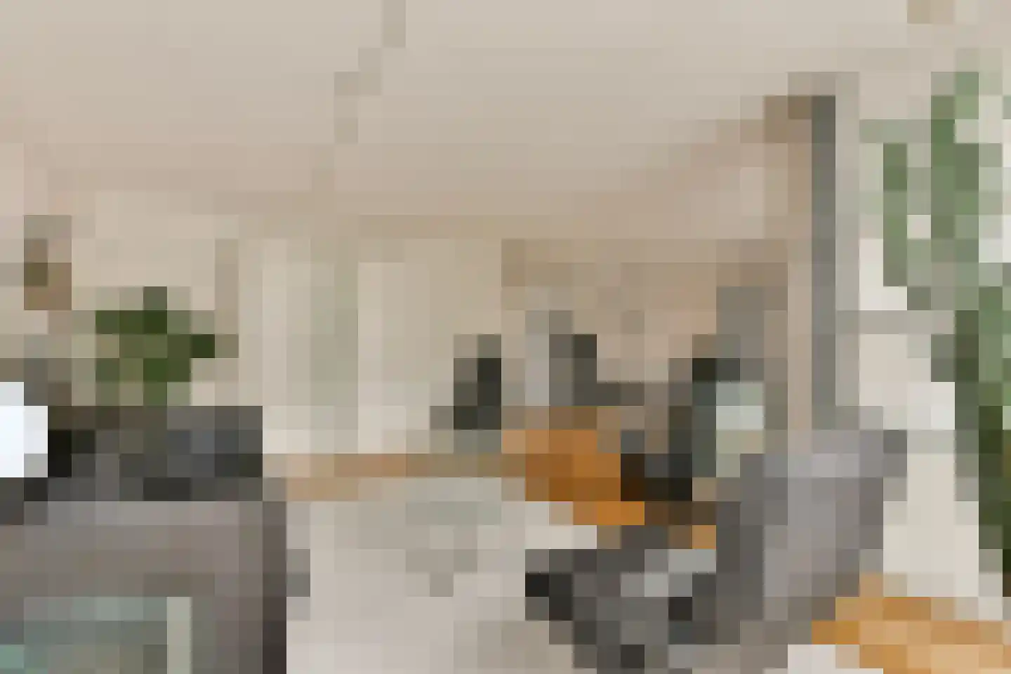 Chirurgijn 7 Amstelveen thumbnail 8