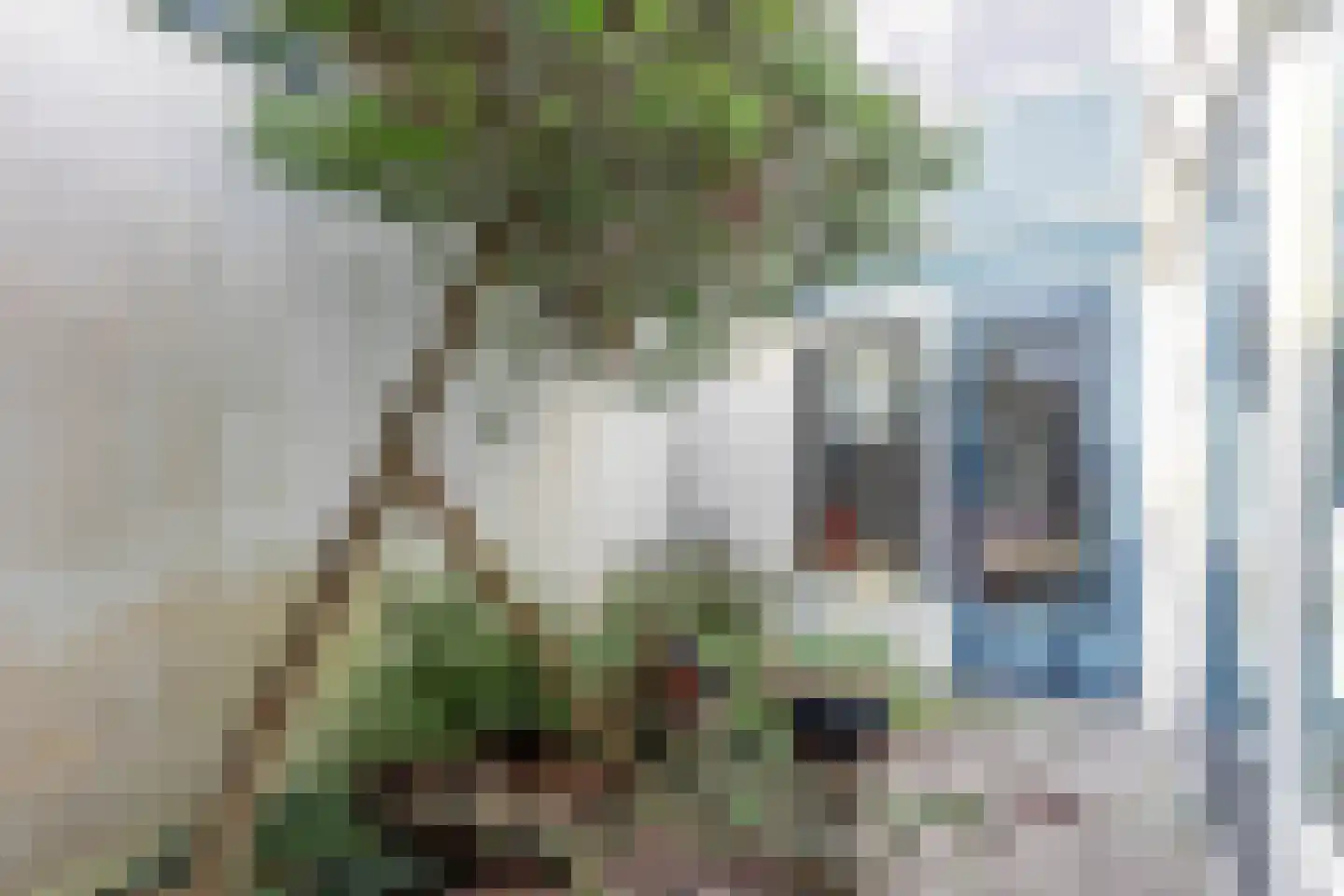 Chirurgijnsgilde 20 Amersfoort thumbnail 16