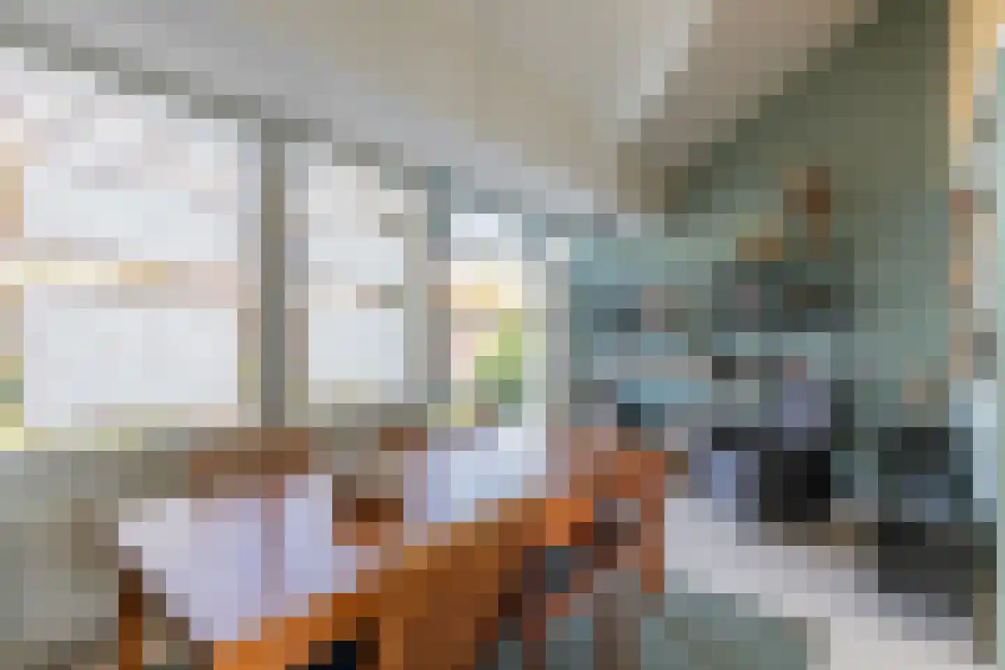 Chirurgijnsgilde 20 Amersfoort thumbnail 22