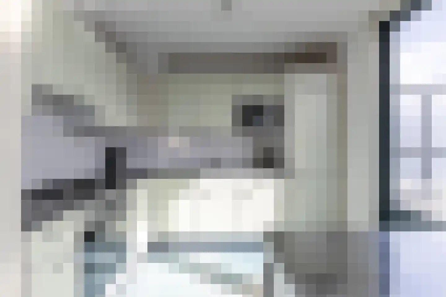 Chirurgijnsgilde 20 Amersfoort thumbnail 28
