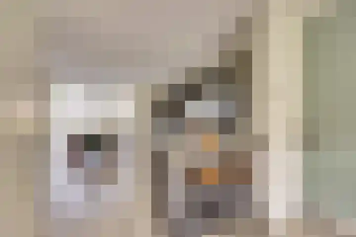 Chirurgijnsgilde 20 Dronten thumbnail 13