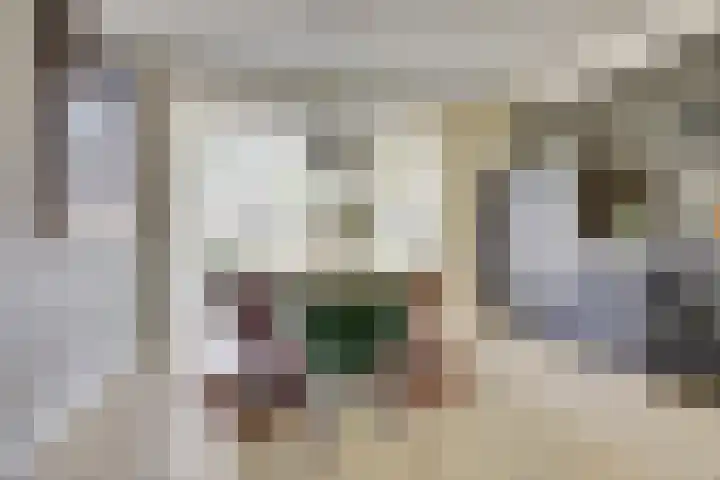 Chirurgijnsgilde 20 Dronten thumbnail 15