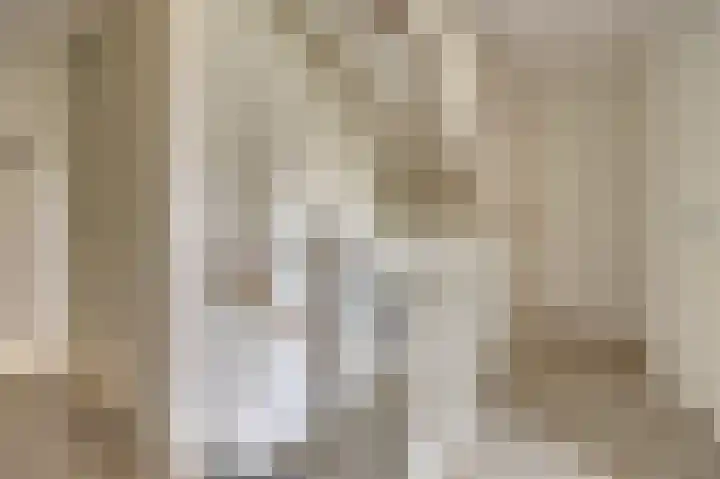 Chirurgijnsgilde 20 Dronten thumbnail 30