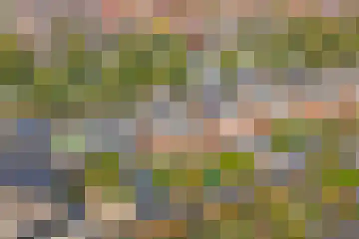Chirurgijnsgilde 20 Dronten thumbnail 36