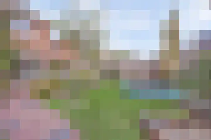 Chirurgijnsgilde 20 Dronten thumbnail 40