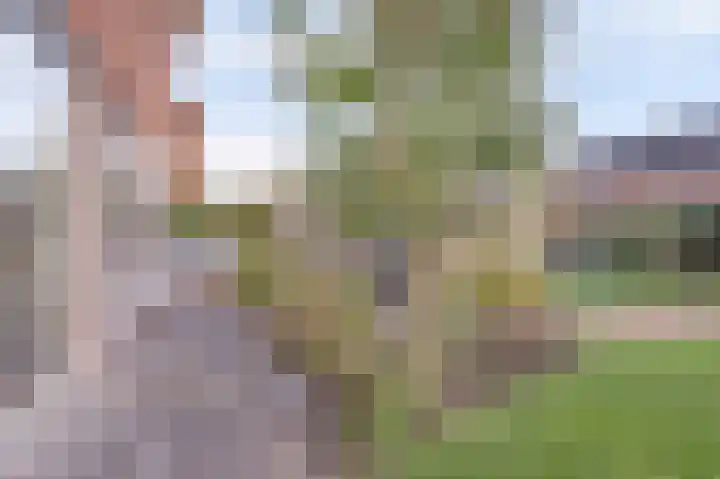 Chirurgijnsgilde 20 Dronten thumbnail 41