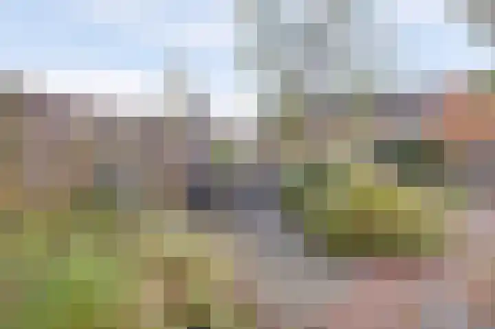 Chirurgijnsgilde 20 Dronten thumbnail 43